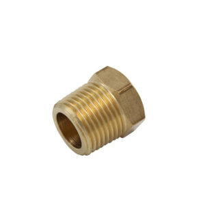 Brass Hex Plug