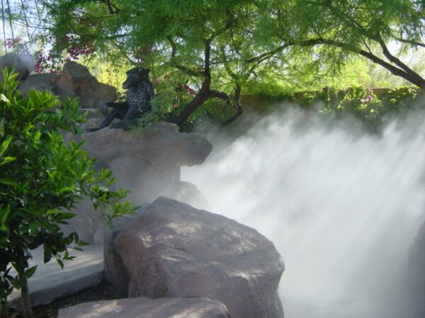 Product gallery image.